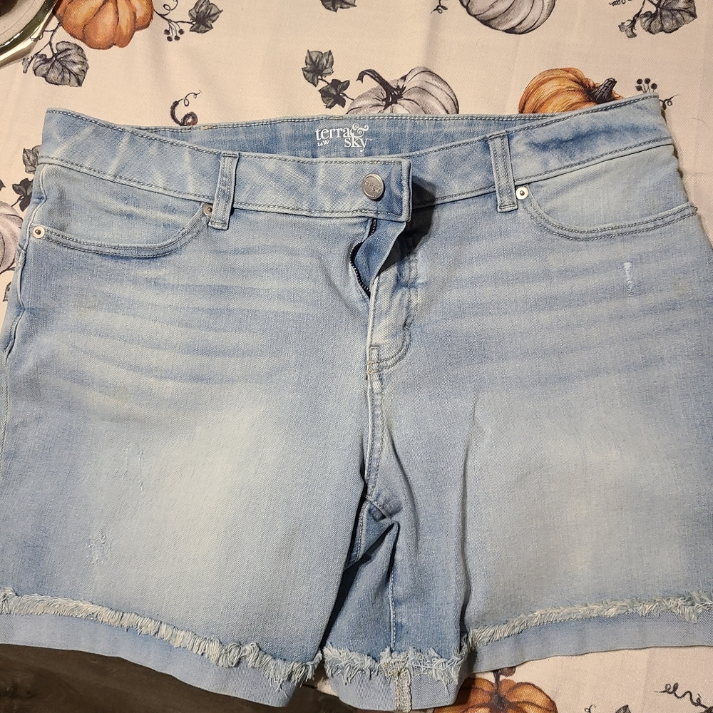Terra & Sky shorts